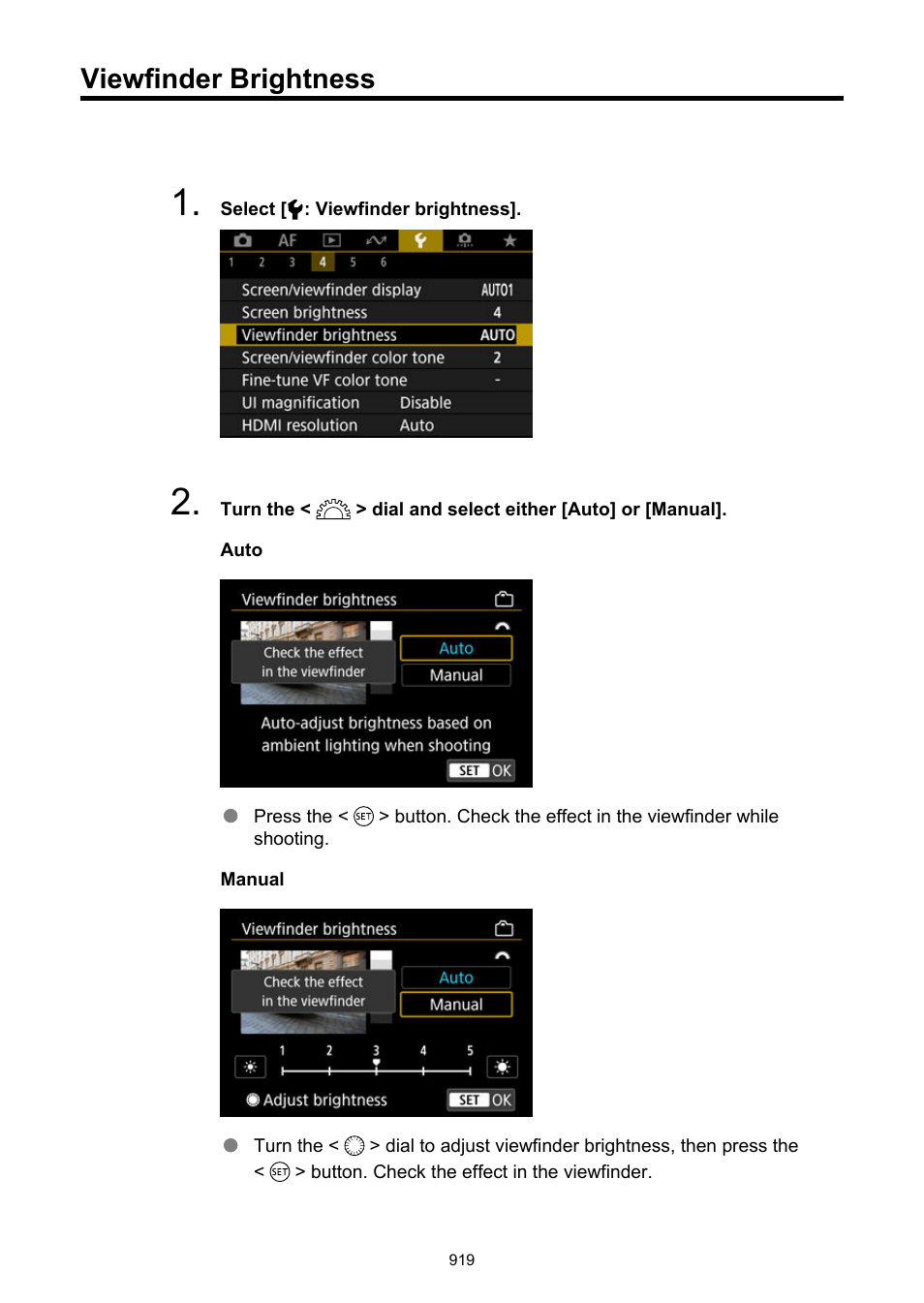 Viewfinder brightness | Canon EOS R6 Mark II Mirrorless Camera with 24-105mm f/4-7.1 Lens User Manual | Page 919 / 1074