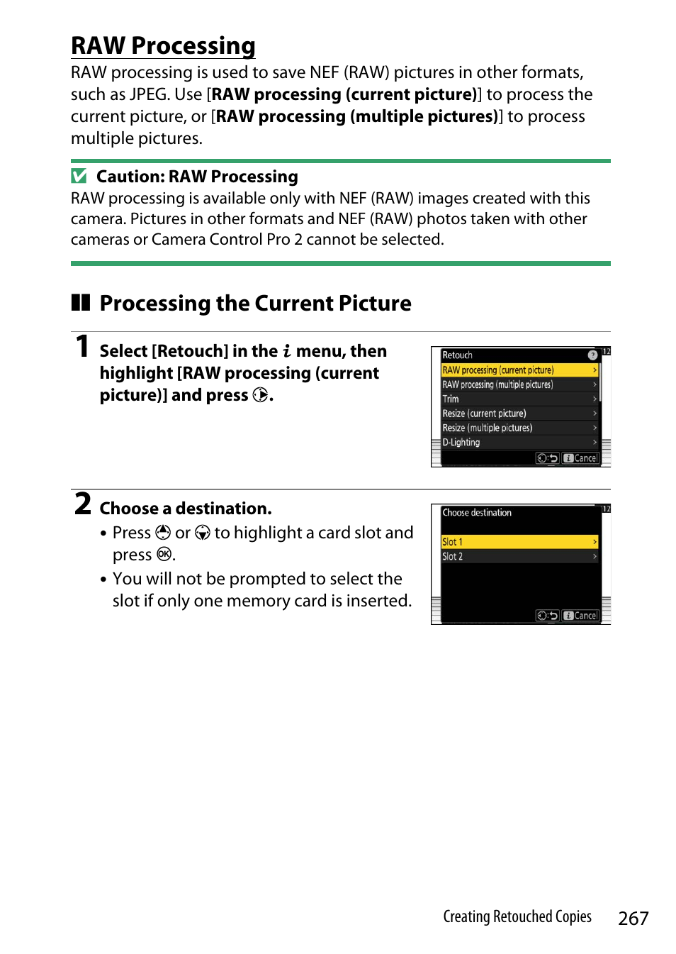 Raw processing, Processing the current picture | Nikon Z9 Mirrorless Camera User Manual | Page 267 / 914