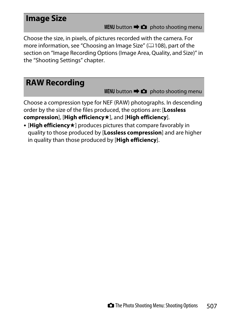 Image size, Raw recording | Nikon Z9 Mirrorless Camera User Manual | Page 507 / 914