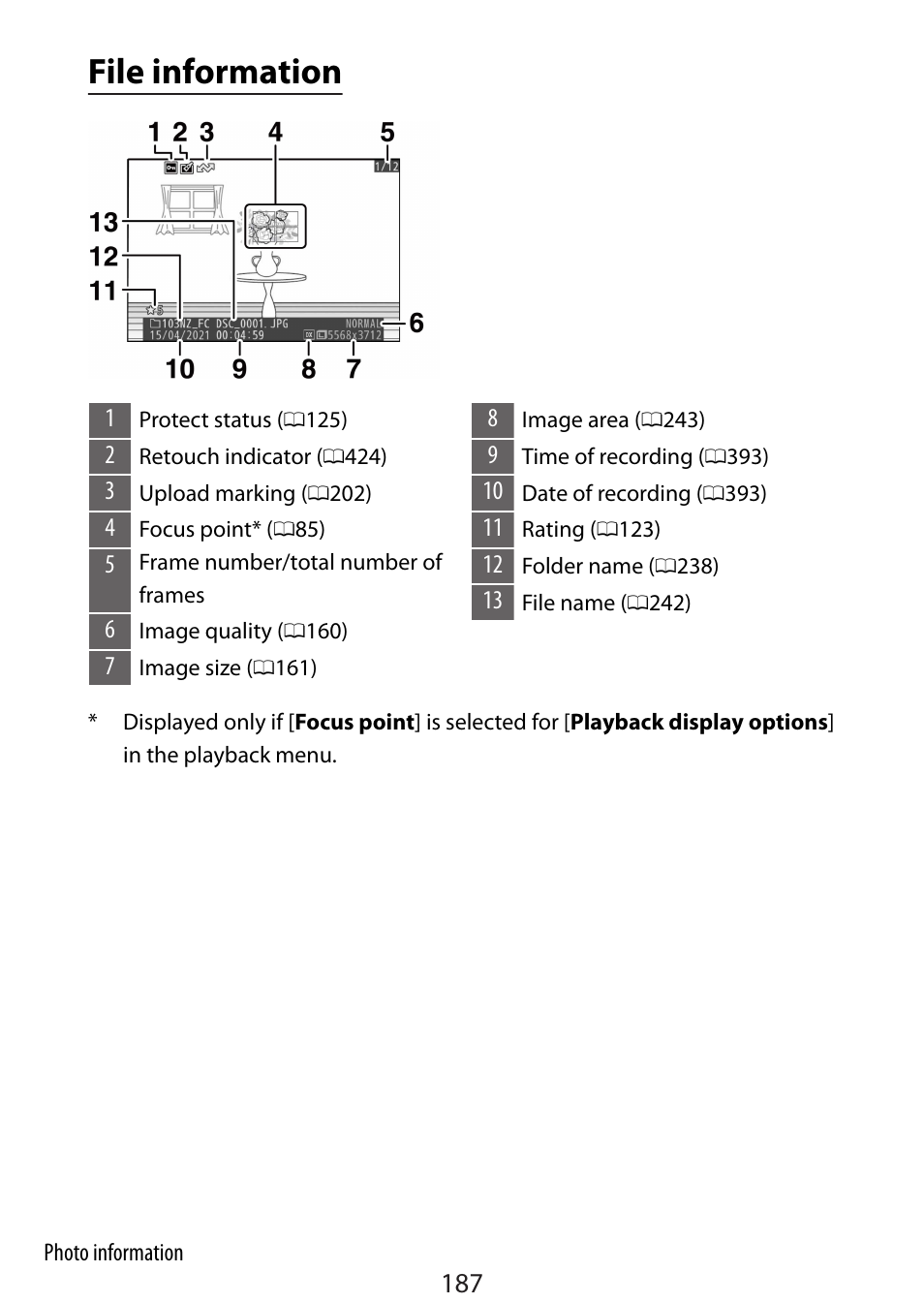 File information | Nikon Zfc Mirrorless Camera with 28mm Lens User Manual | Page 187 / 624