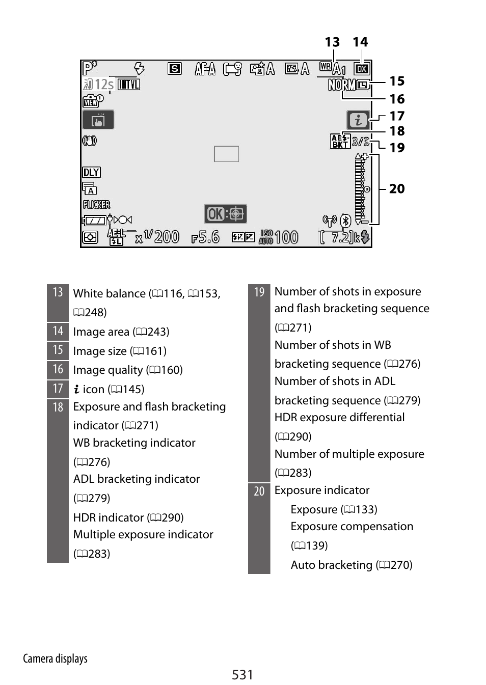 Nikon Zfc Mirrorless Camera with 28mm Lens User Manual | Page 531 / 624