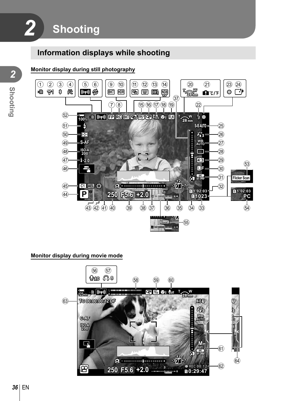 Shooting, Information displays while shooting, 36 en | Olympus OM-D E-M1 Mark III Mirrorless Camera User Manual | Page 36 / 333