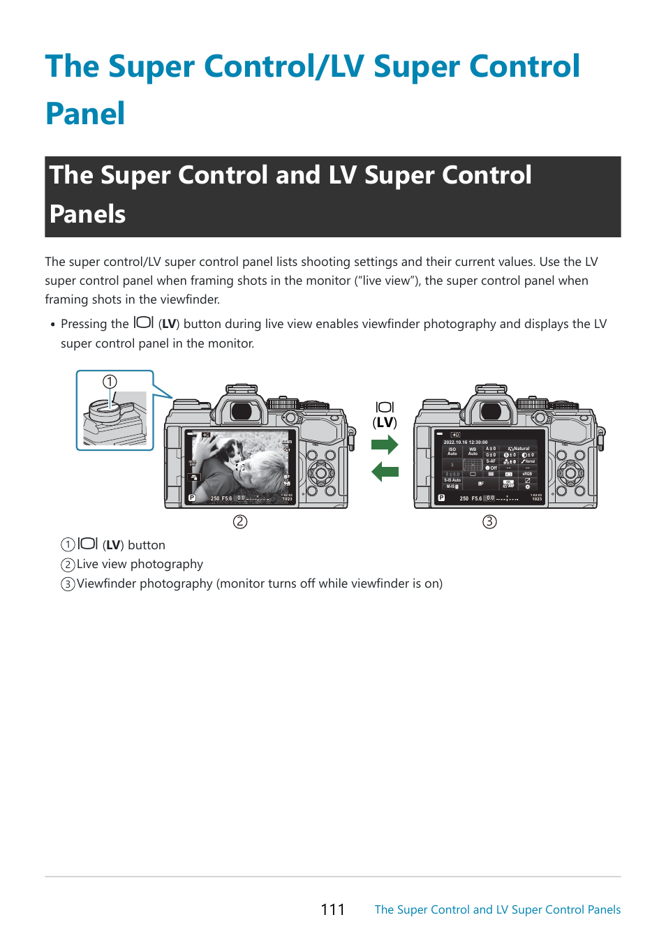The super control/lv super control panel, The super control and lv super control panels, P. 111 | Is display, U( lv ) | OM SYSTEM OM-5 Mirrorless Camera with 12-45mm f/4 PRO Lens (Silver) User Manual | Page 111 / 467