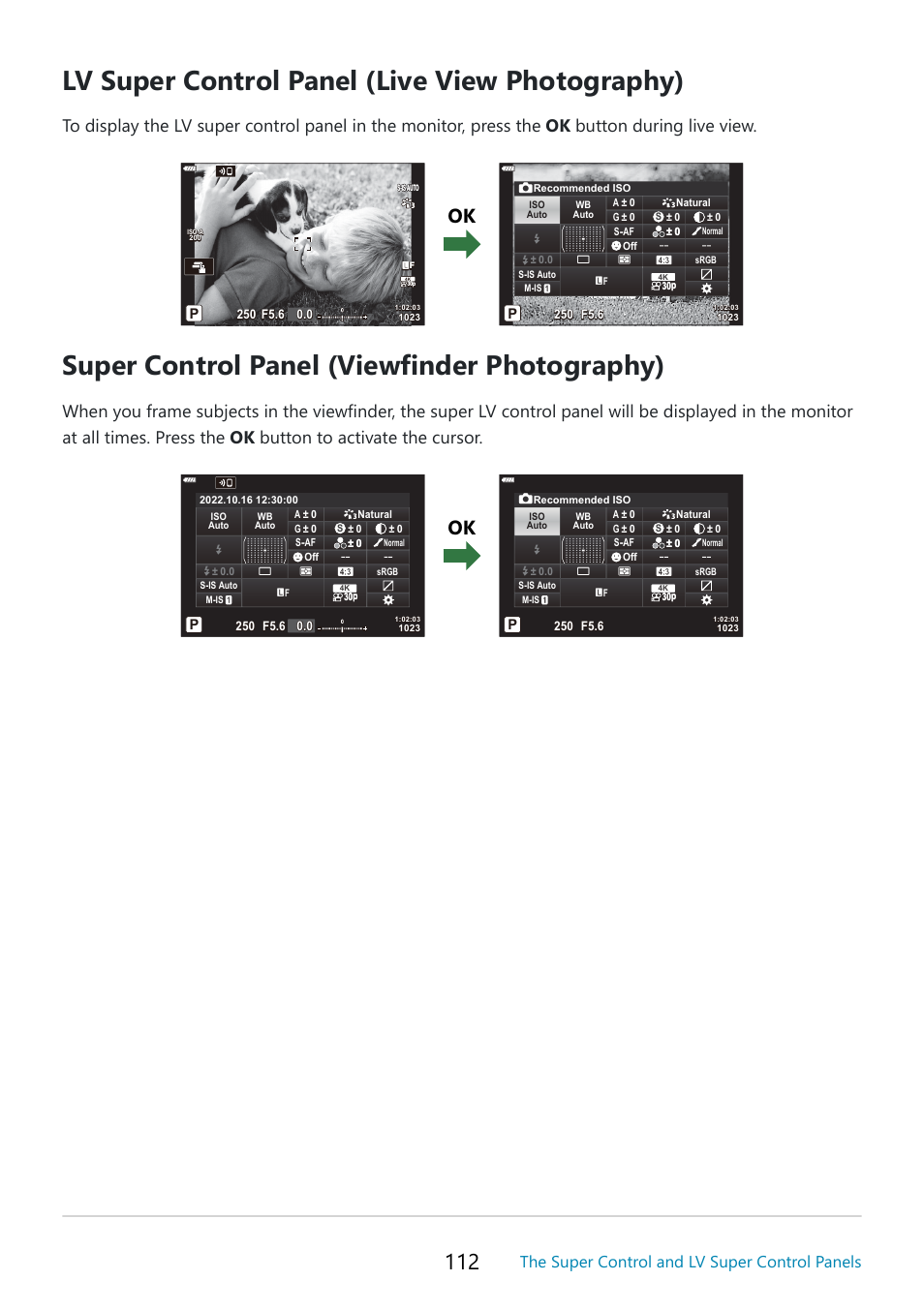 Lv super control panel (live view photography), Super control panel (viewfinder photography), The super control and lv super control panels | OM SYSTEM OM-5 Mirrorless Camera with 12-45mm f/4 PRO Lens (Silver) User Manual | Page 112 / 467