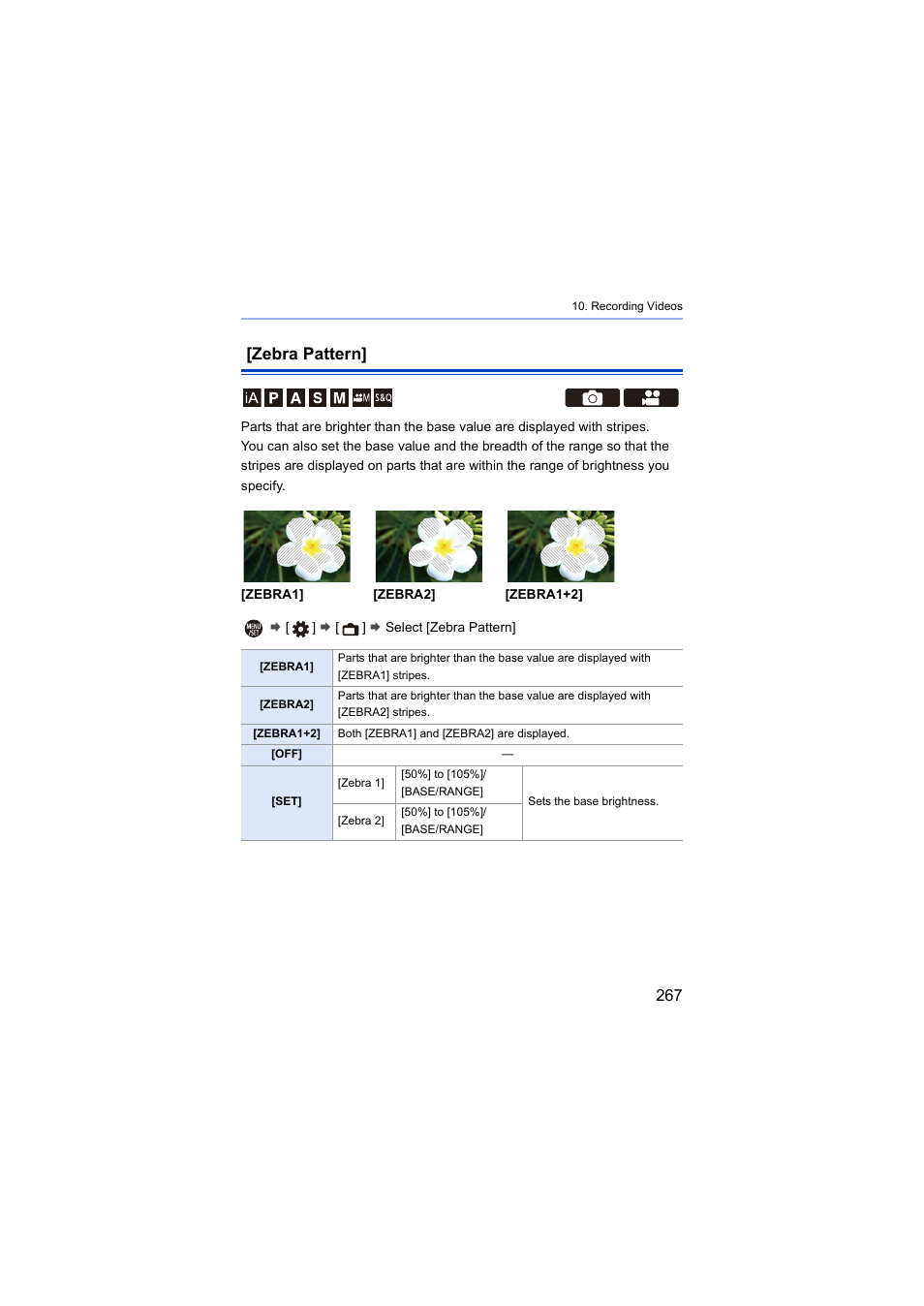 Zebra pattern | Panasonic Lumix S5 Mirrorless Camera User Manual | Page 267 / 570
