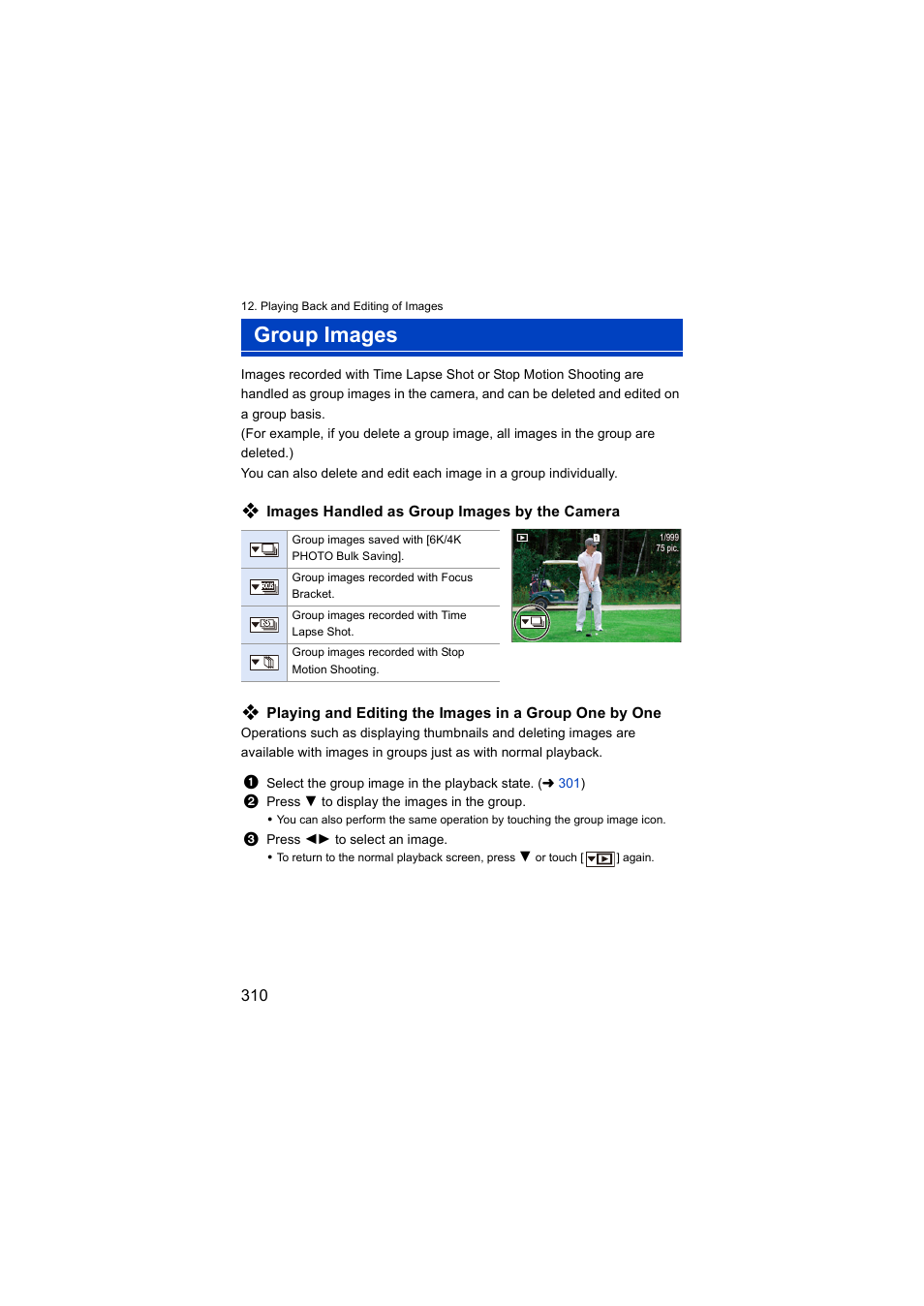 Group images | Panasonic Lumix S5 Mirrorless Camera User Manual | Page 310 / 570
