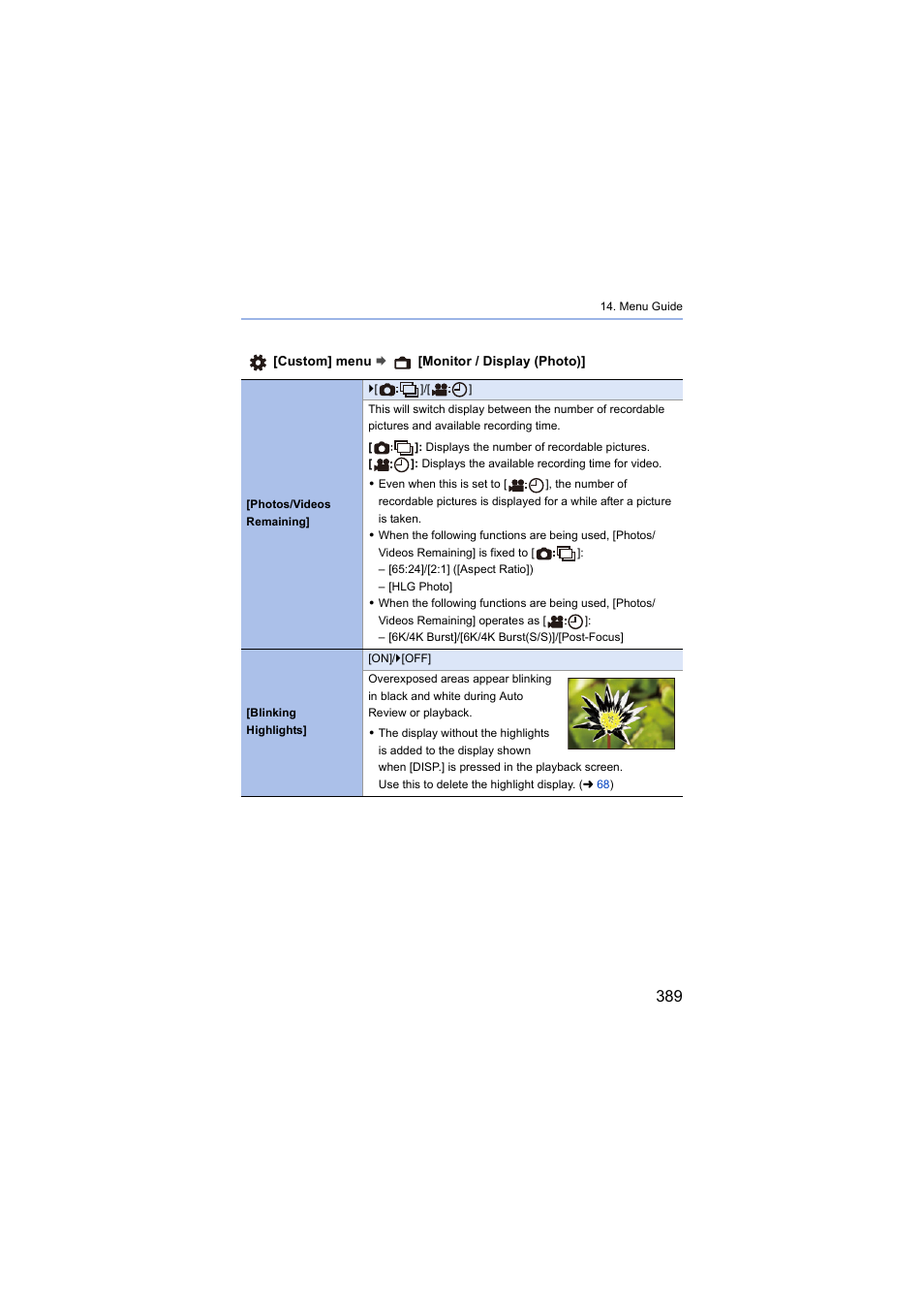 Blink, Ideos remaining | Panasonic Lumix S5 Mirrorless Camera User Manual | Page 389 / 570
