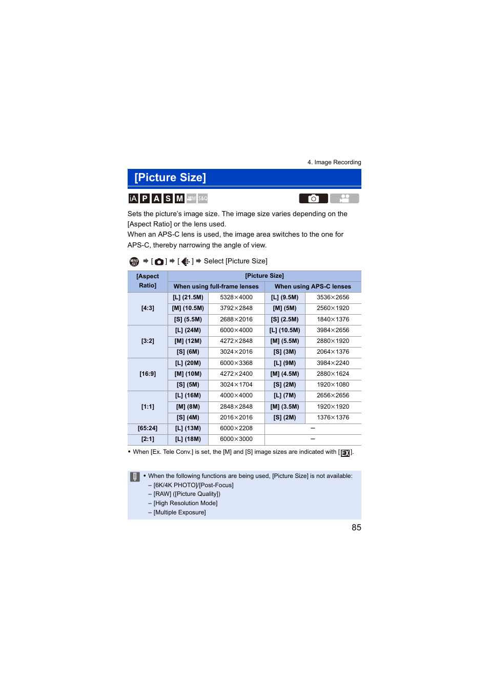 Picture size, E size | Panasonic Lumix S5 Mirrorless Camera User Manual | Page 85 / 570