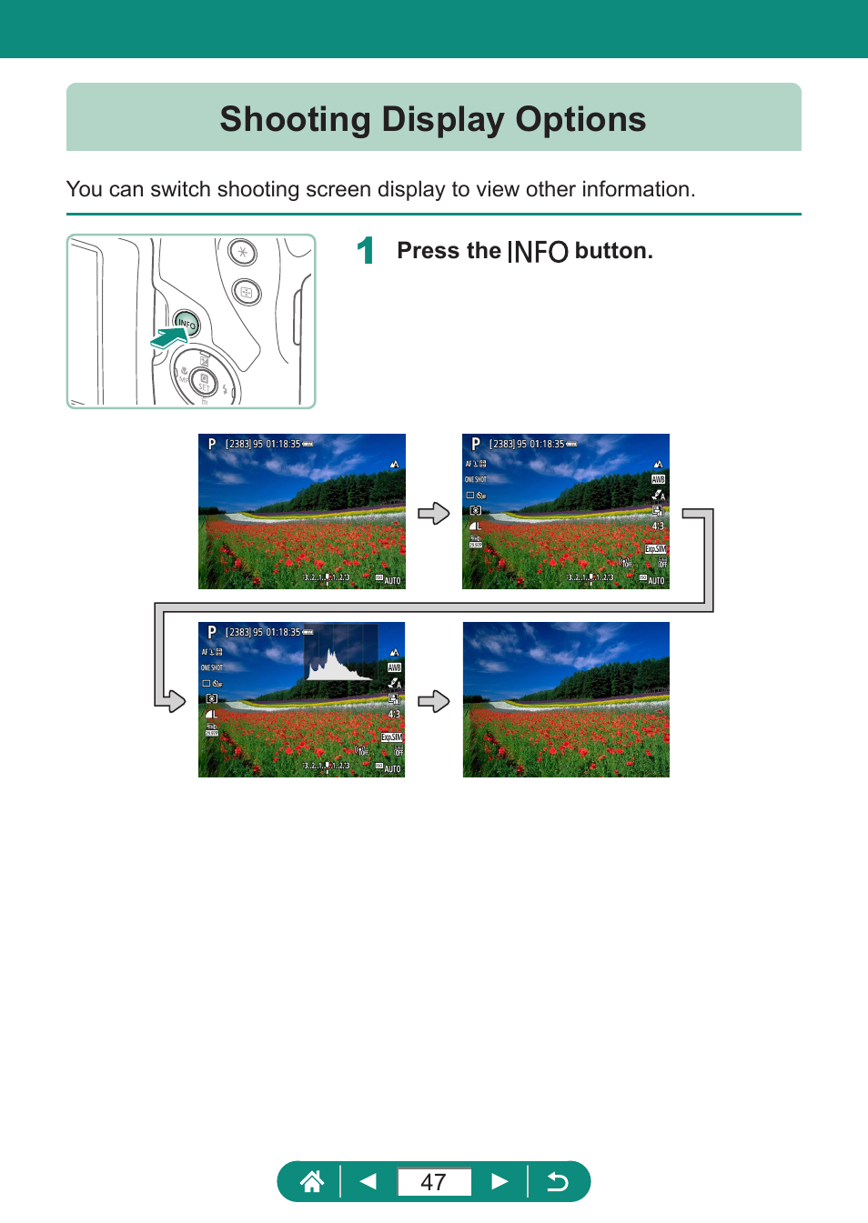 Shooting display options | Canon PowerShot SX70 HS Digital Camera User Manual | Page 47 / 289