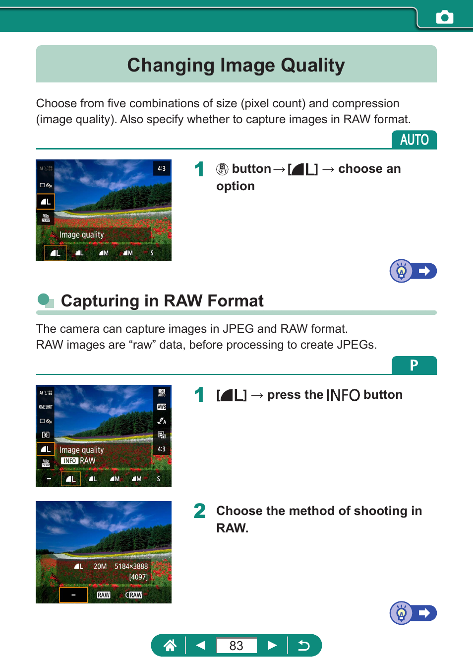 Changing image quality, Capturing in raw format | Canon PowerShot SX70 HS Digital Camera User Manual | Page 83 / 289