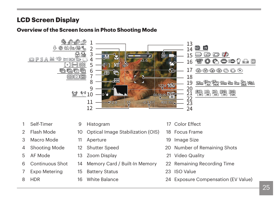 25 lcd screen display | Kodak PIXPRO AZ425 Digital Camera (Black) User Manual | Page 26 / 94