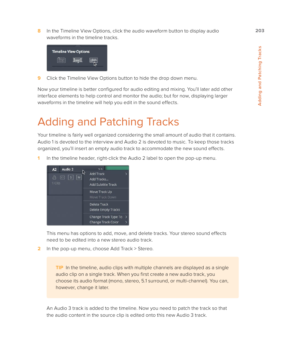 Adding and patching tracks | Blackmagic Design DaVinci Resolve Studio (Dongle) User Manual | Page 218 / 444