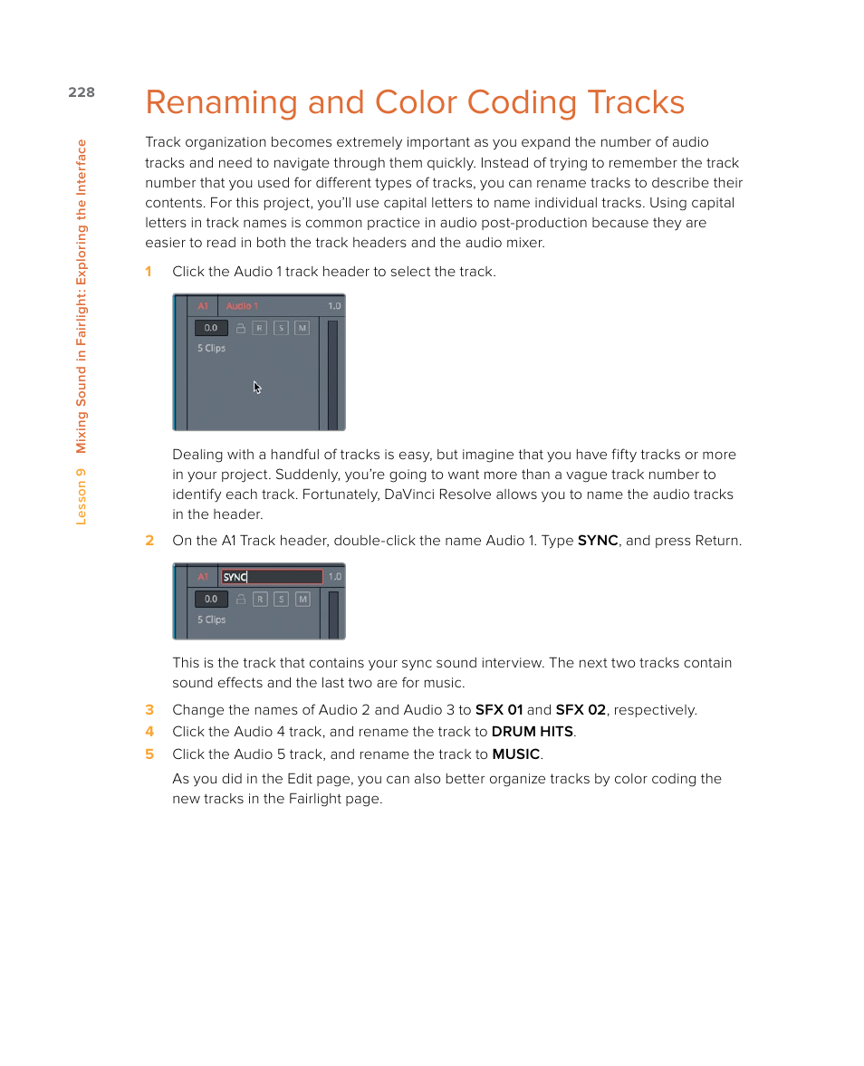 Renaming and color coding tracks | Blackmagic Design DaVinci Resolve Studio (Dongle) User Manual | Page 243 / 444