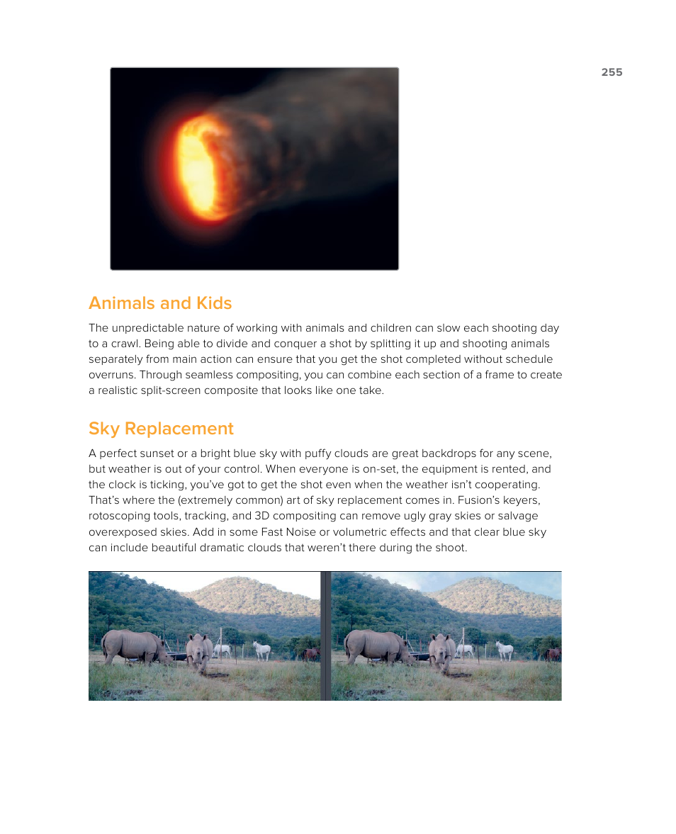 Animals and kids, Sky replacement | Blackmagic Design DaVinci Resolve Studio (Dongle) User Manual | Page 270 / 444