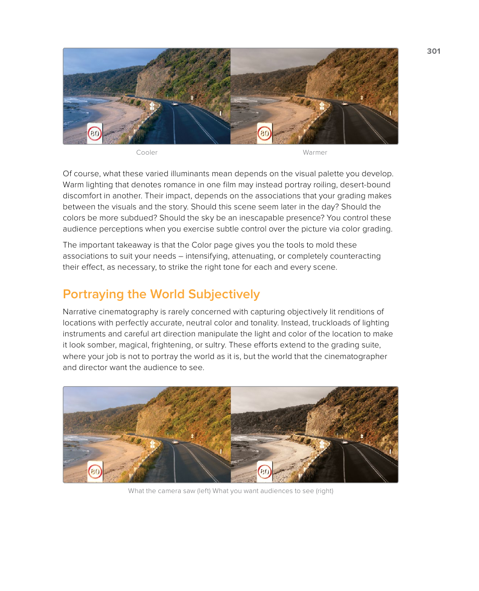 Portraying the world subjectively | Blackmagic Design DaVinci Resolve Studio (Dongle) User Manual | Page 316 / 444