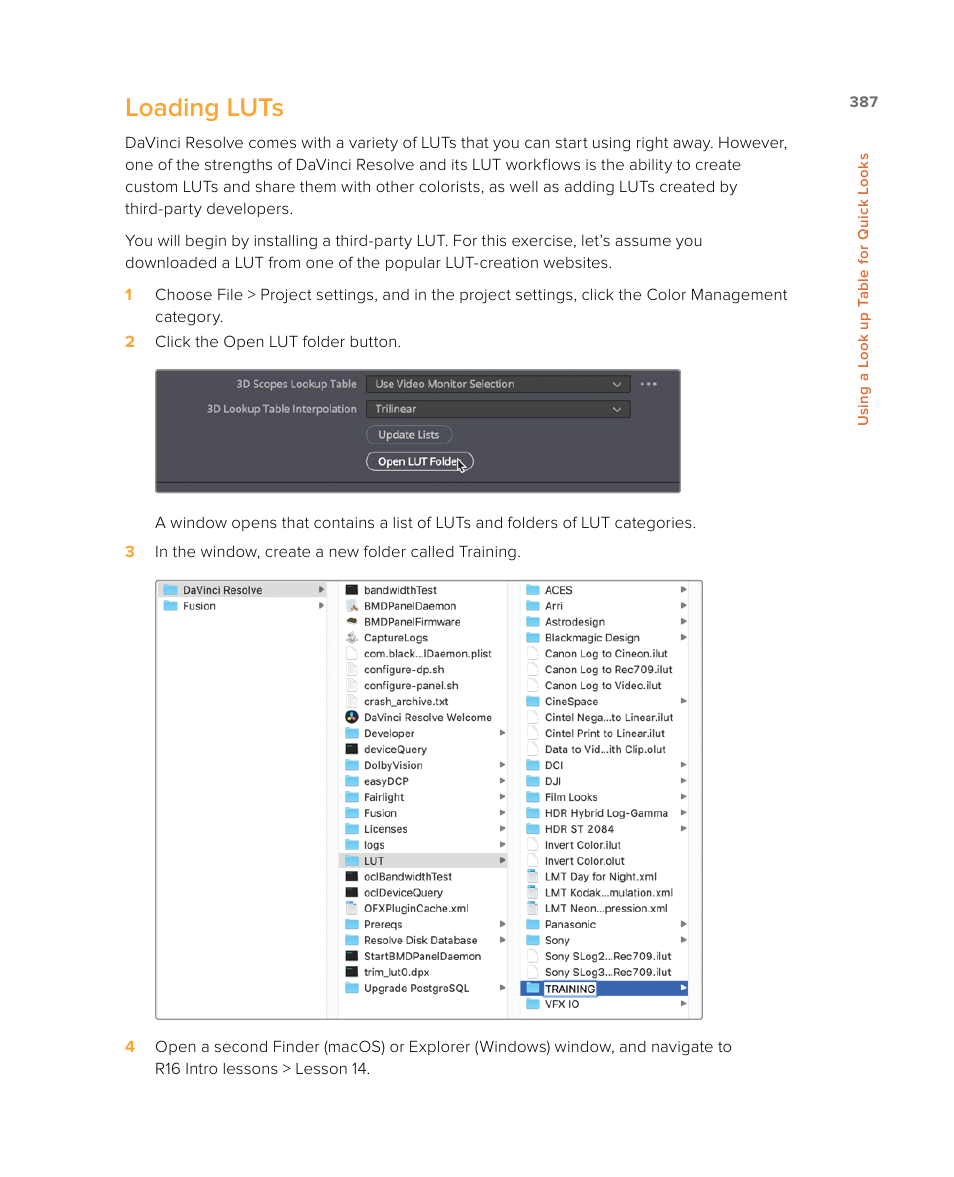 Loading luts | Blackmagic Design DaVinci Resolve Studio (Dongle) User Manual | Page 402 / 444