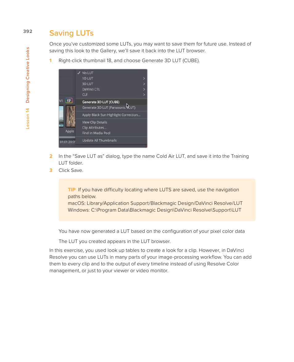 Saving luts | Blackmagic Design DaVinci Resolve Studio (Dongle) User Manual | Page 407 / 444