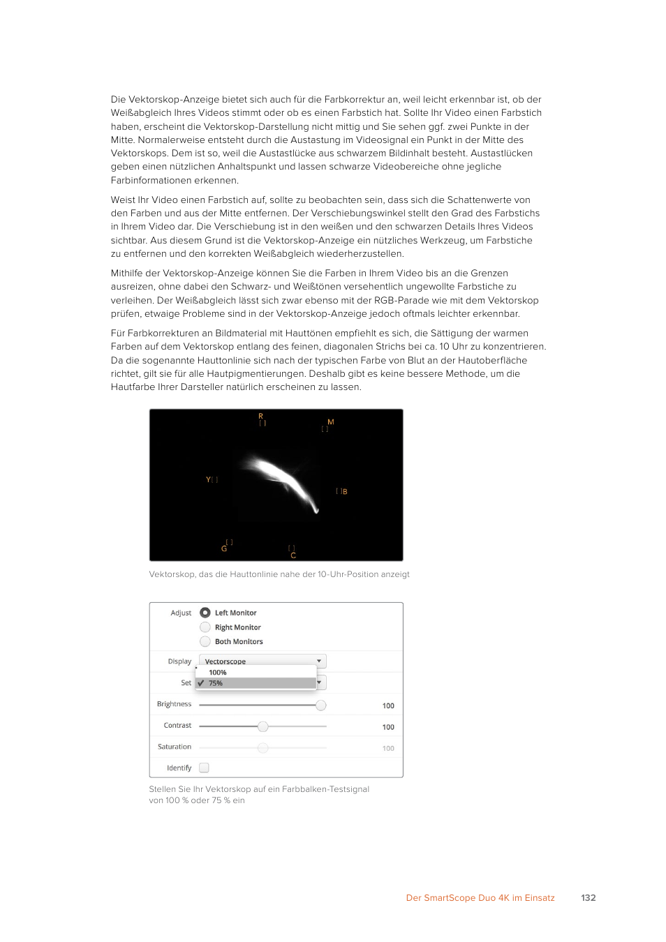 Blackmagic Design SmartView 4K 2 15.6" DCI 4K Broadcast Monitor (6 RU) User Manual | Page 132 / 419