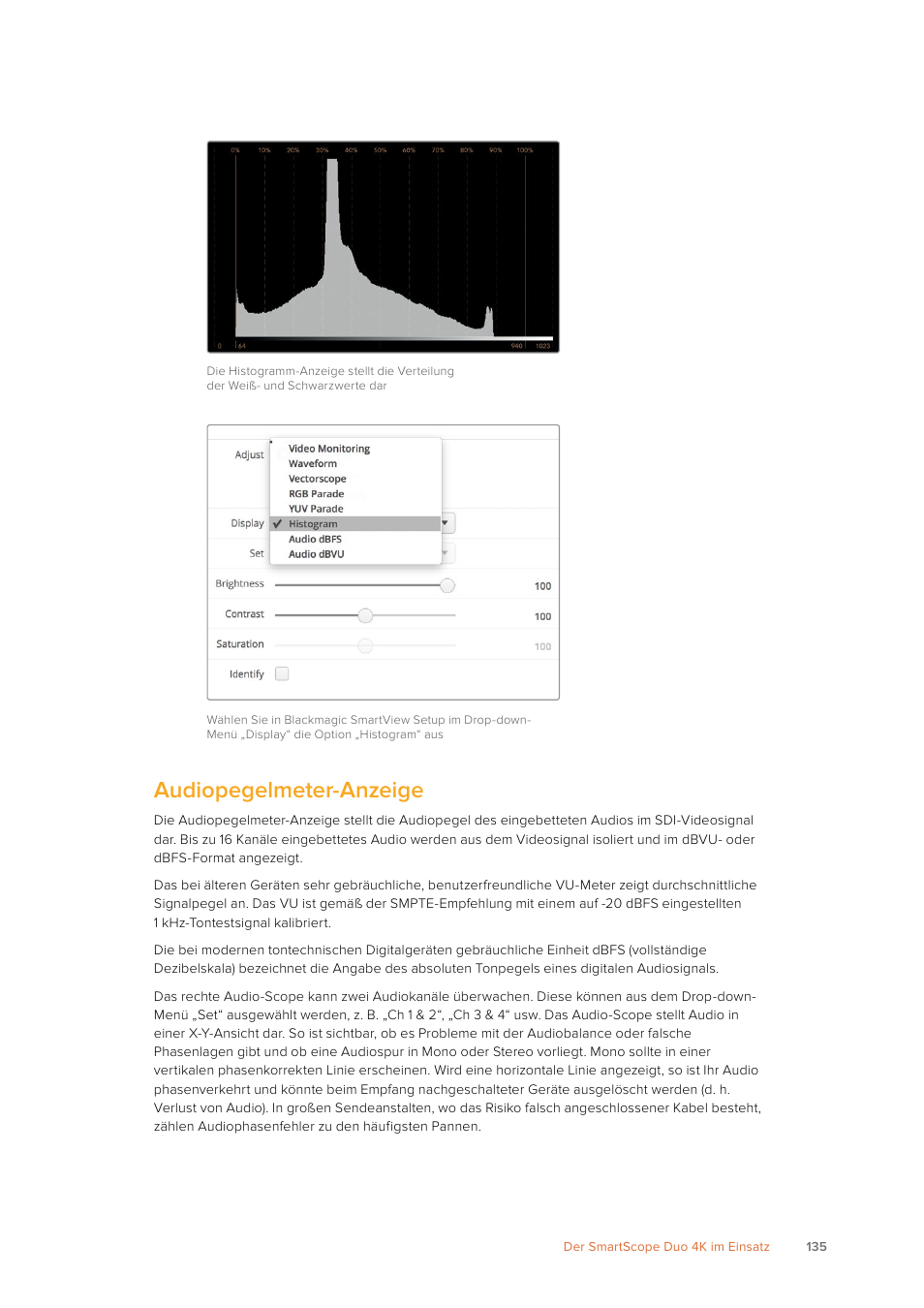 Audiopegelmeter-anzeige | Blackmagic Design SmartView 4K 2 15.6" DCI 4K Broadcast Monitor (6 RU) User Manual | Page 135 / 419