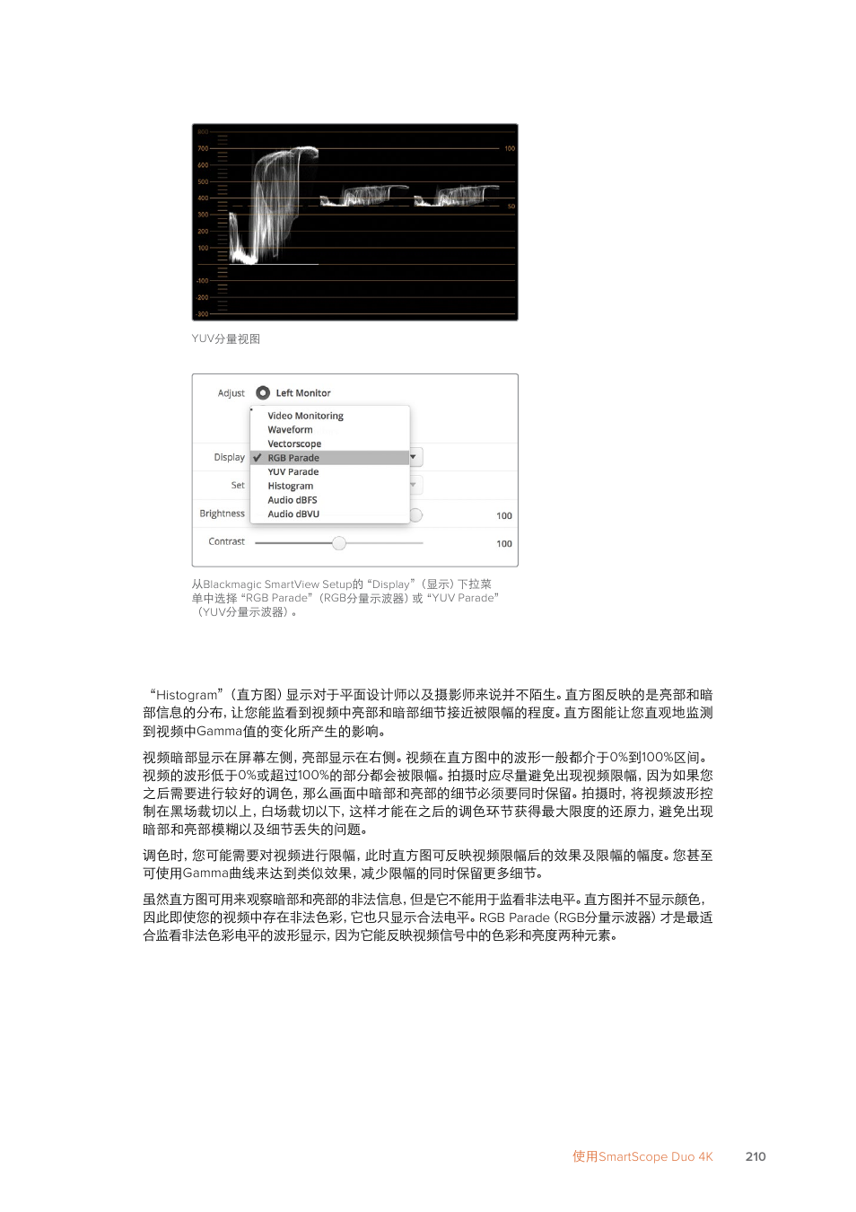 直方图显示 | Blackmagic Design SmartView 4K 2 15.6" DCI 4K Broadcast Monitor (6 RU) User Manual | Page 210 / 419