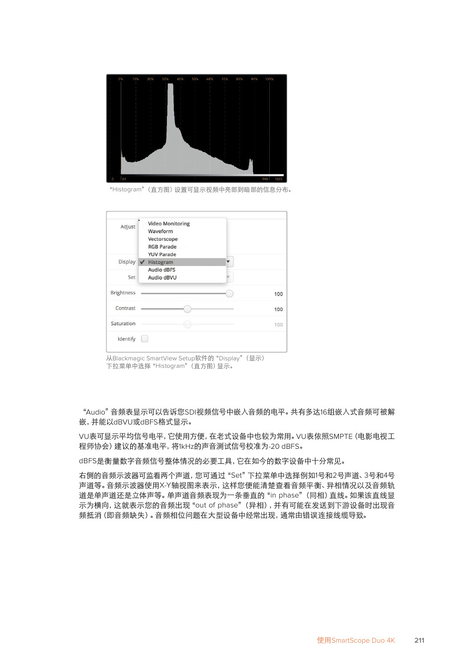 音频表显示 | Blackmagic Design SmartView 4K 2 15.6" DCI 4K Broadcast Monitor (6 RU) User Manual | Page 211 / 419