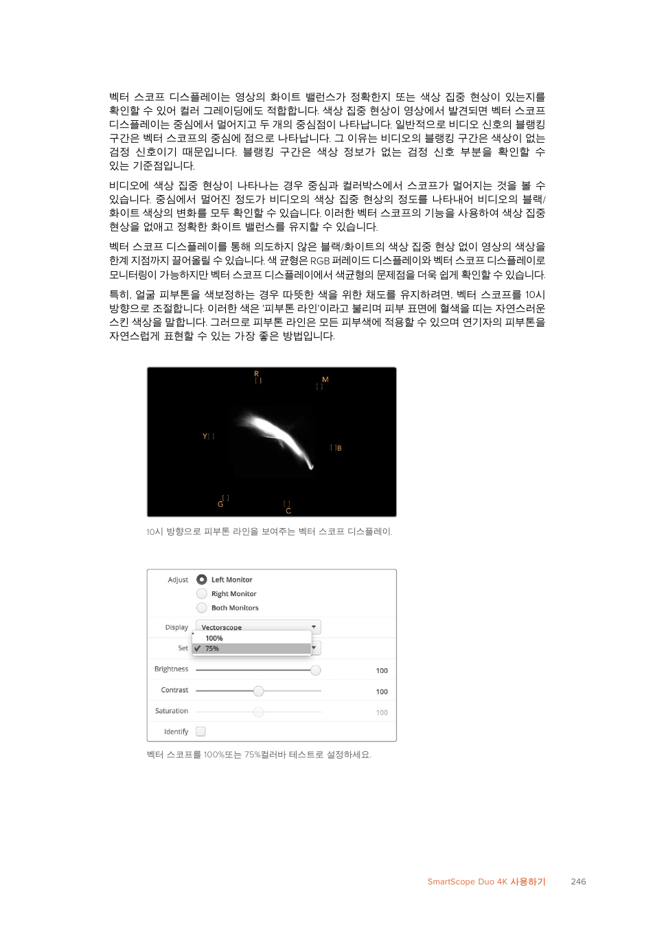 Blackmagic Design SmartView 4K 2 15.6" DCI 4K Broadcast Monitor (6 RU) User Manual | Page 246 / 419