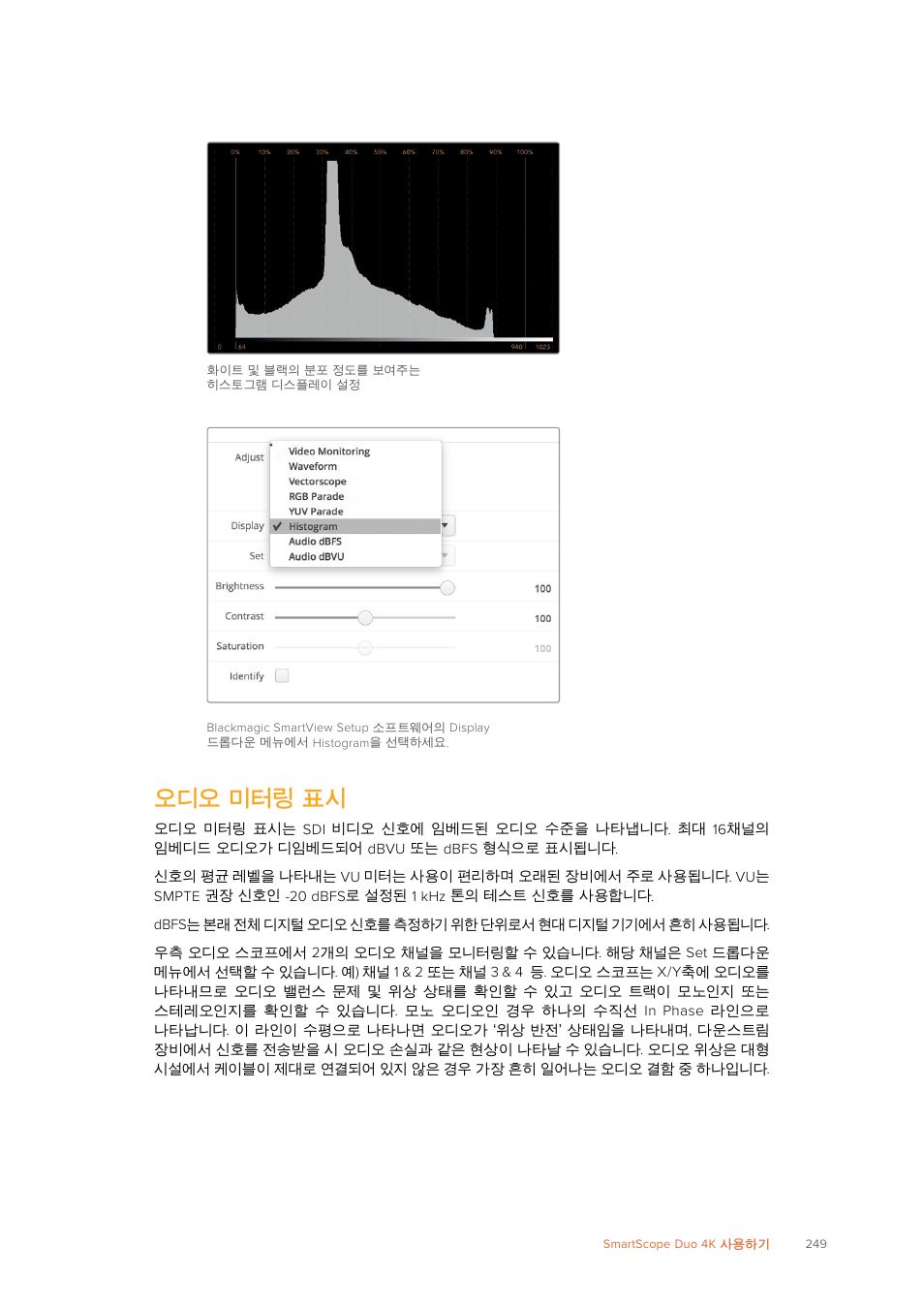 오디오 미터링 표시 | Blackmagic Design SmartView 4K 2 15.6" DCI 4K Broadcast Monitor (6 RU) User Manual | Page 249 / 419