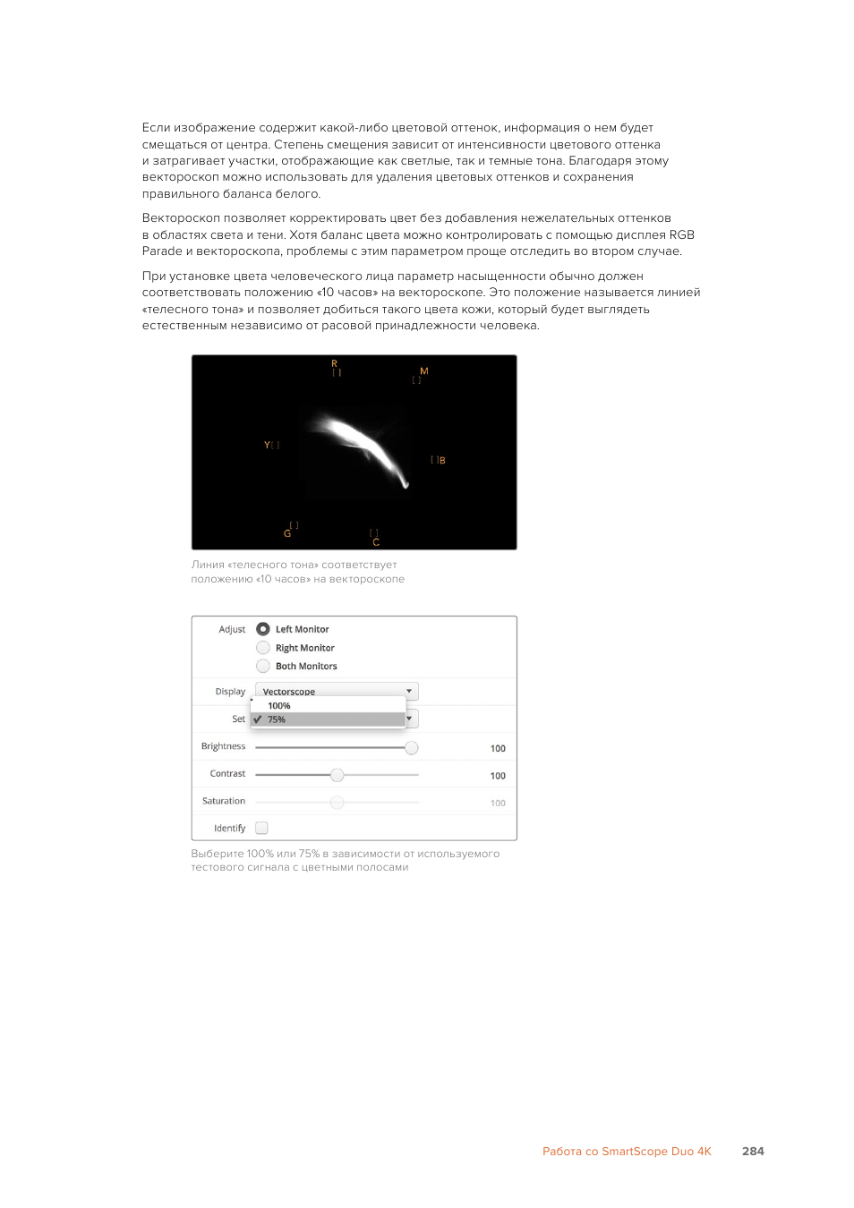 Blackmagic Design SmartView 4K 2 15.6" DCI 4K Broadcast Monitor (6 RU) User Manual | Page 284 / 419