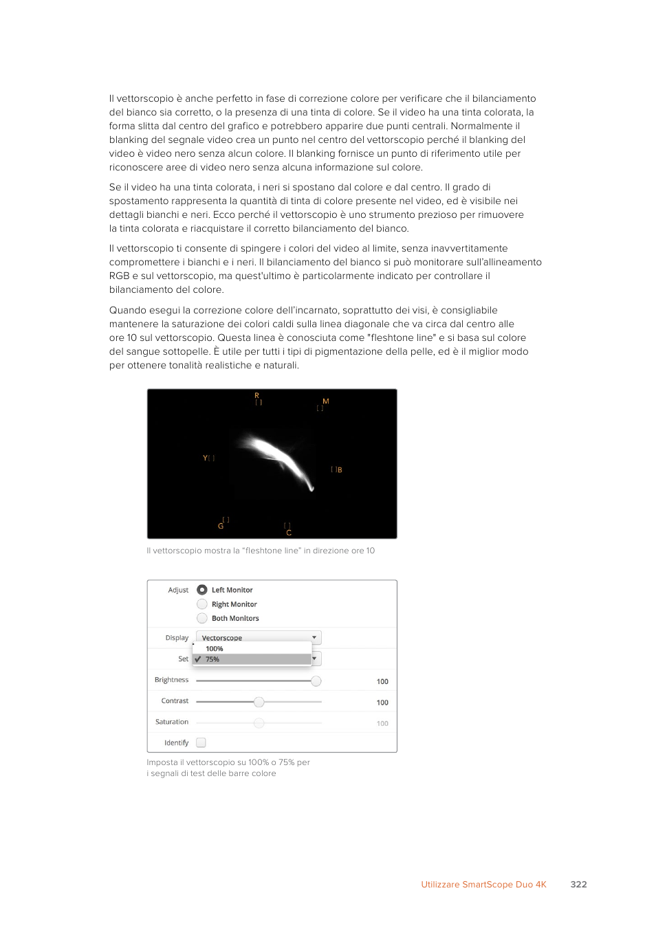 Blackmagic Design SmartView 4K 2 15.6" DCI 4K Broadcast Monitor (6 RU) User Manual | Page 322 / 419