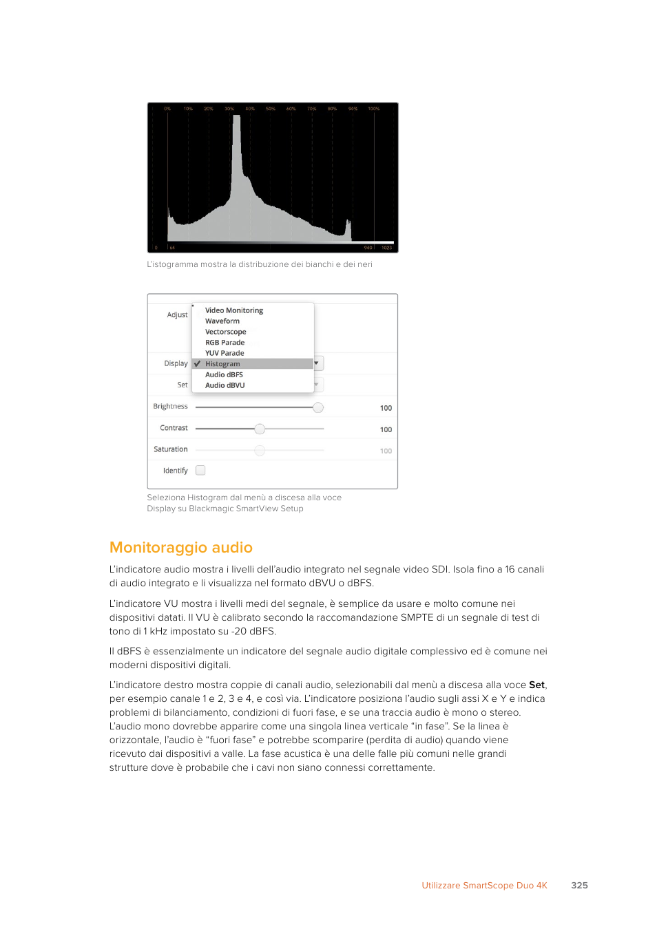Monitoraggio audio | Blackmagic Design SmartView 4K 2 15.6" DCI 4K Broadcast Monitor (6 RU) User Manual | Page 325 / 419