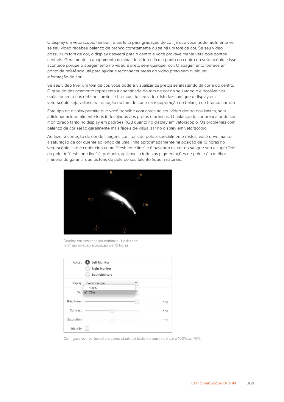 Blackmagic Design SmartView 4K 2 15.6" DCI 4K Broadcast Monitor (6 RU) User Manual | Page 360 / 419