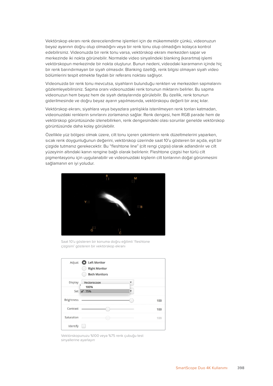 Blackmagic Design SmartView 4K 2 15.6" DCI 4K Broadcast Monitor (6 RU) User Manual | Page 398 / 419