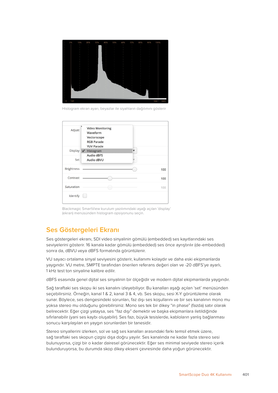 Ses göstergeleri ekranı | Blackmagic Design SmartView 4K 2 15.6" DCI 4K Broadcast Monitor (6 RU) User Manual | Page 401 / 419