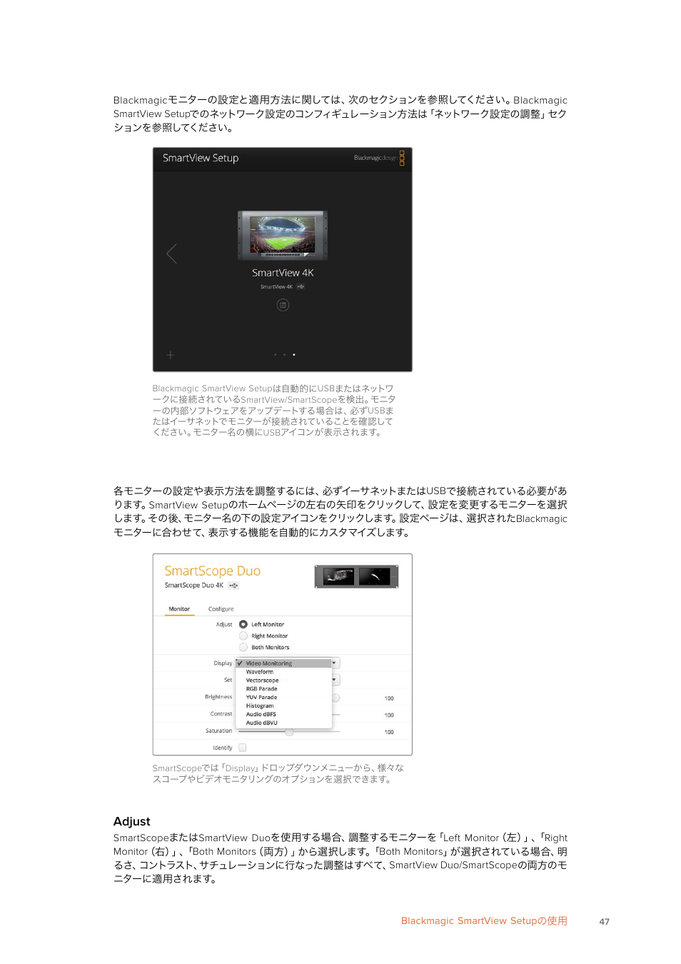 Adjust | Blackmagic Design SmartView 4K 2 15.6" DCI 4K Broadcast Monitor (6 RU) User Manual | Page 47 / 419