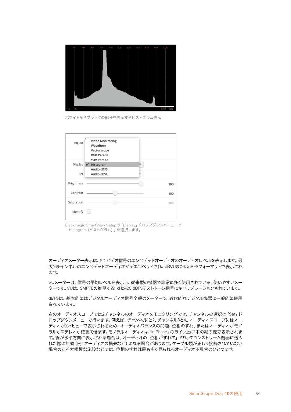 オーディオメーター表示 | Blackmagic Design SmartView 4K 2 15.6" DCI 4K Broadcast Monitor (6 RU) User Manual | Page 59 / 419