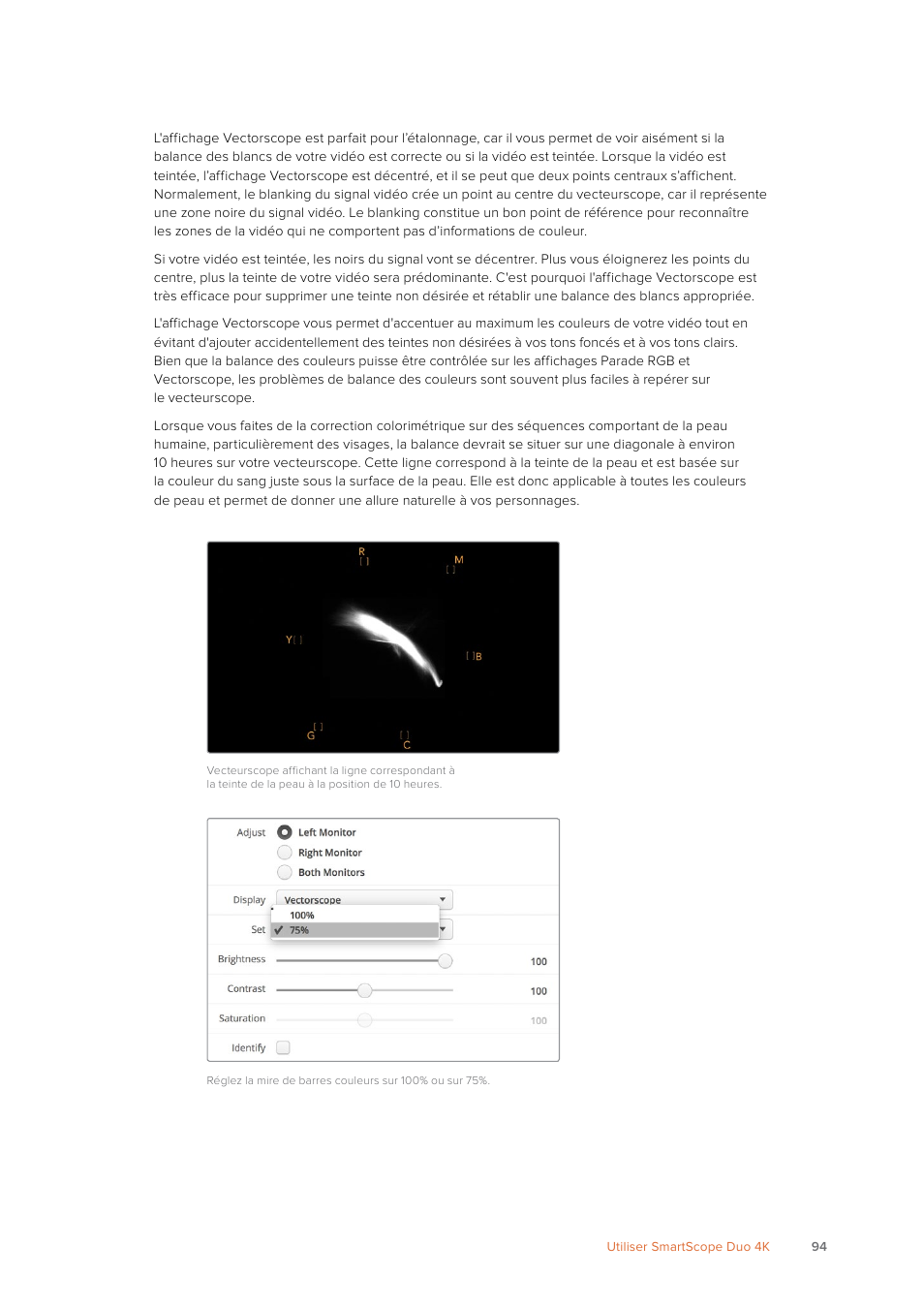 Blackmagic Design SmartView 4K 2 15.6" DCI 4K Broadcast Monitor (6 RU) User Manual | Page 94 / 419