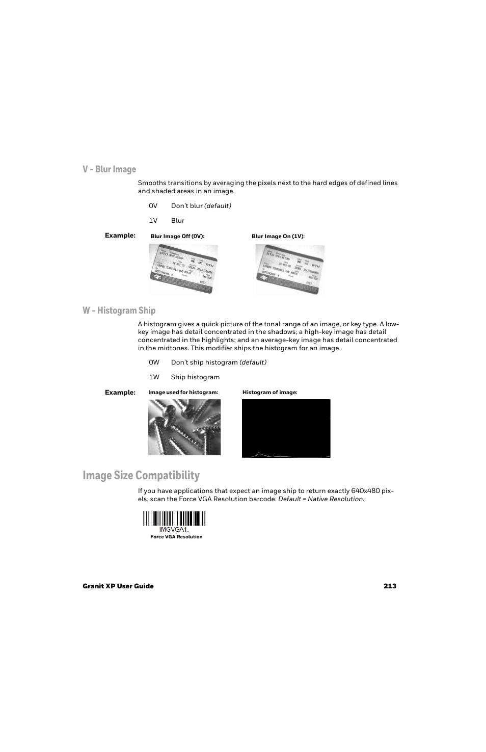 V - blur image, W - histogram ship, Image size compatibility | This filter also works | Honeywell Granit 1991iSR Ultra-Rugged Standard-Range Barcode Scanner User Manual | Page 229 / 308