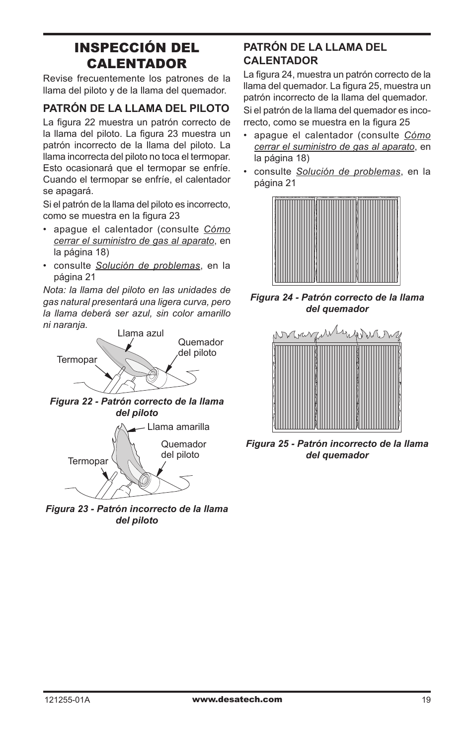 Inspección del calentador | Desa LCR26PT User Manual | Page 45 / 56
