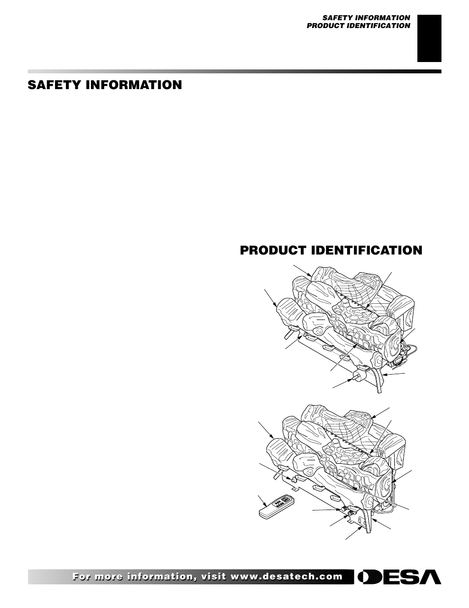 Safety information, Product identification, Continued | Desa "R" Models User Manual | Page 3 / 40
