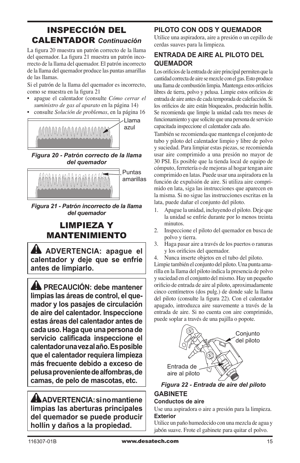 Limpieza y mantenimiento, Inspección del calentador | Desa VSF30NT User Manual | Page 39 / 48