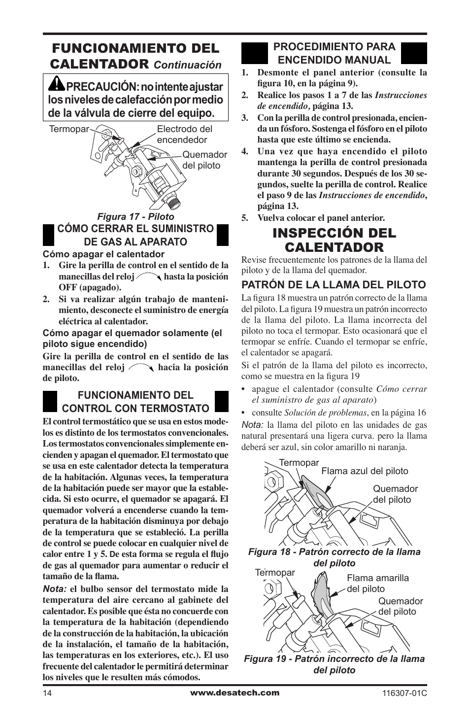 Inspección del calentador, Funcionamiento del calentador | Desa VSF30PT User Manual | Page 38 / 48