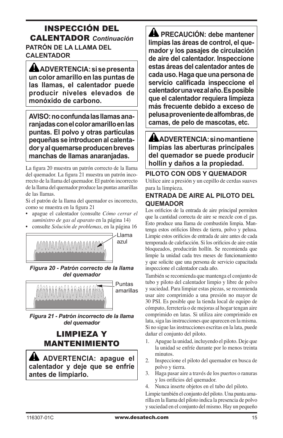 Limpieza y mantenimiento, Inspección del calentador | Desa VSF30PT User Manual | Page 39 / 48