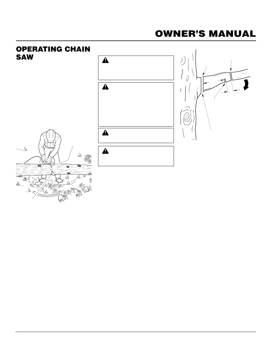 Owner’s manual, Operating chain saw, Continued | Desa LNT-2 076728K User Manual | Page 11 / 20