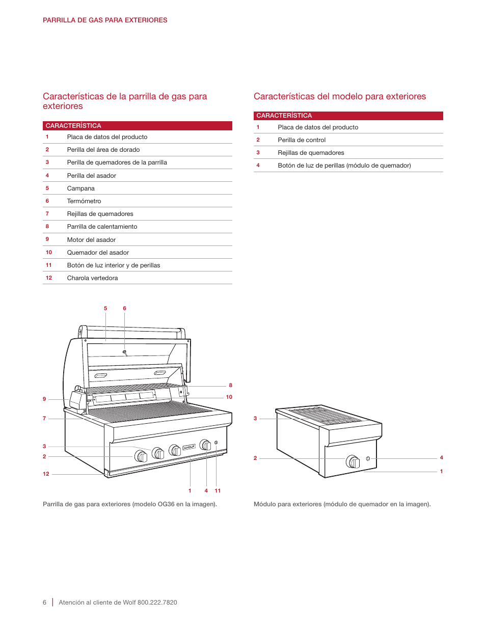 Características del modelo para exteriores | Wolf 30 Inch Built-in Gas Grill  Manual User Manual | Page 20 / 44