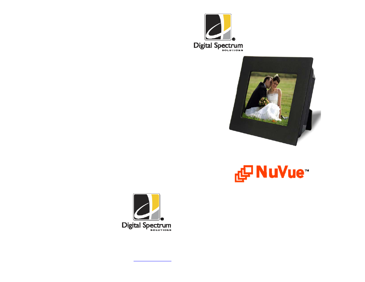 Digital Spectrum NuVue NV-563 User Manual | 6 pages