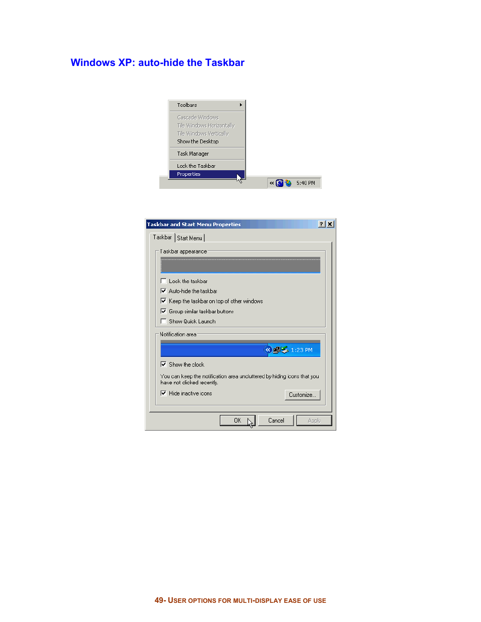 Windows xp: auto-hide the taskbar | Digital Tigers SideCar MMS Series User Manual | Page 53 / 83