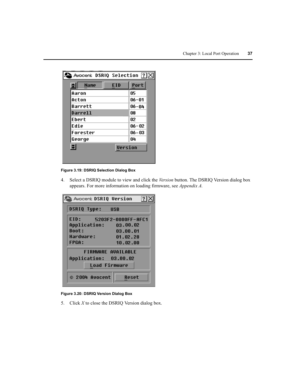 Avocent DSR1020 User Manual | Page 45 / 96