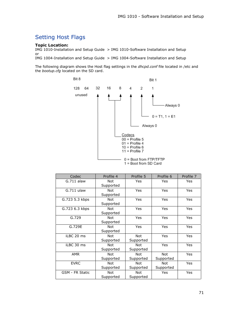 Setting host flags | Dialogic IMG 1004 User Manual | Page 79 / 169