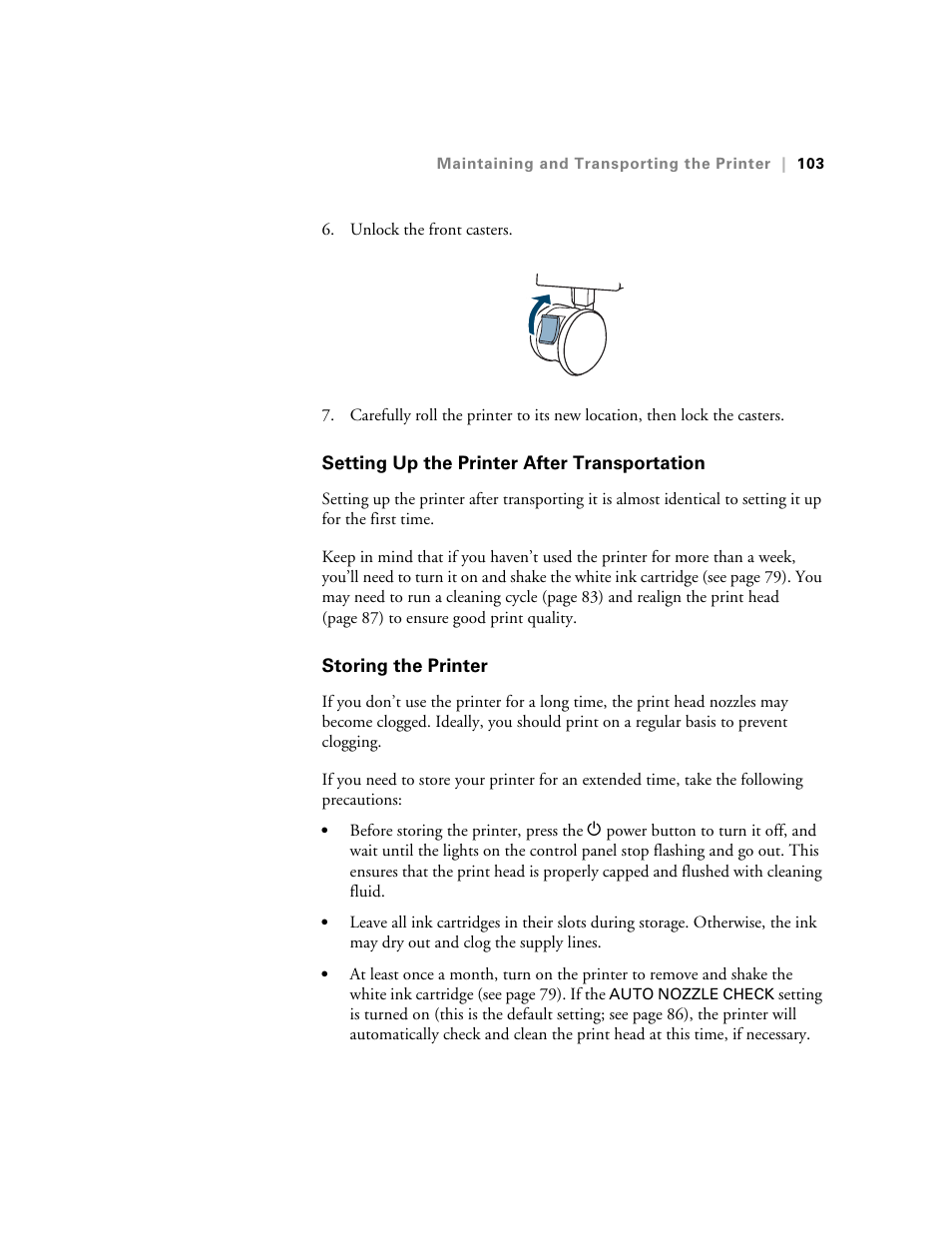 Setting up the printer after transportation, Storing the printer | E-Tech STYLUS Pro WT7900 User Manual | Page 103 / 136