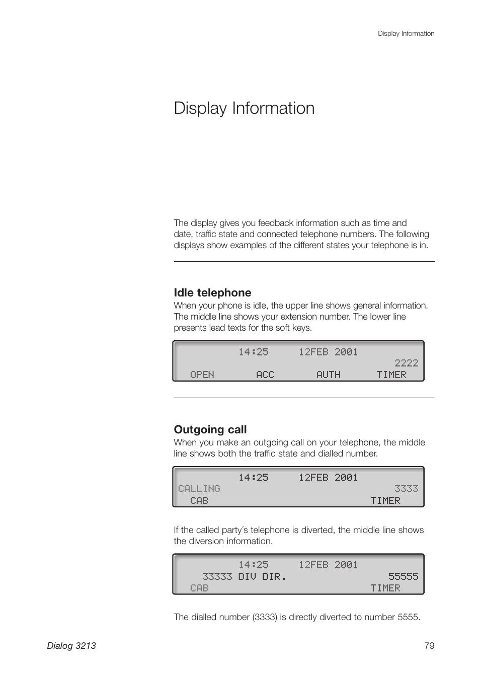 Display information, Idle telephone, Outgoing call | Ericsson Dialog 3213 User Manual | Page 79 / 92
